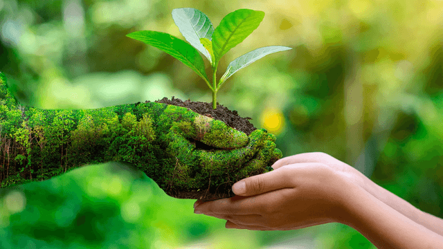 Protect the Environment for Future Generations